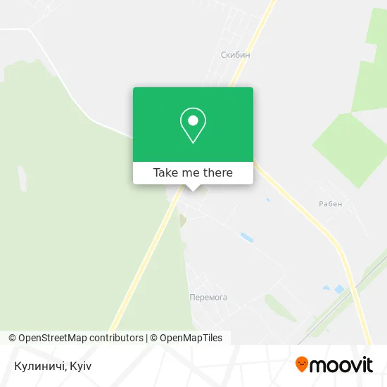 Кулиничі map