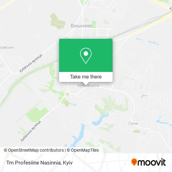 Карта Tm Profesiine Nasinnia