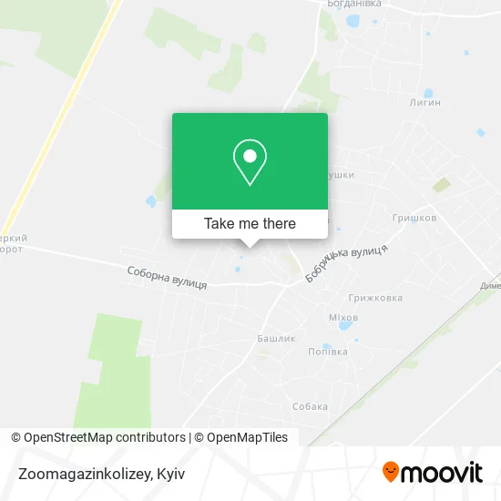 Карта Zoomagazinkolizey