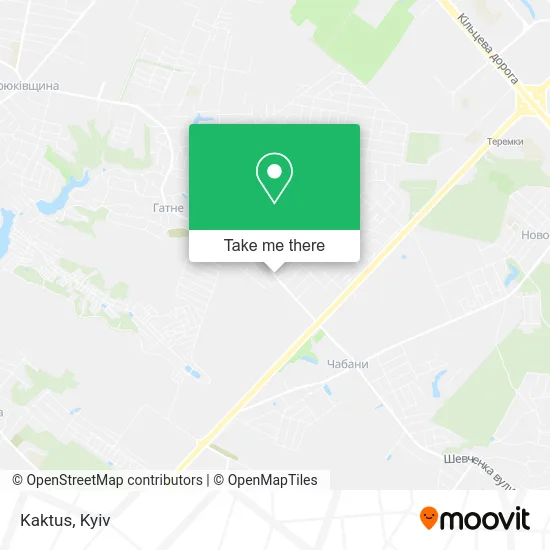 Карта Kaktus