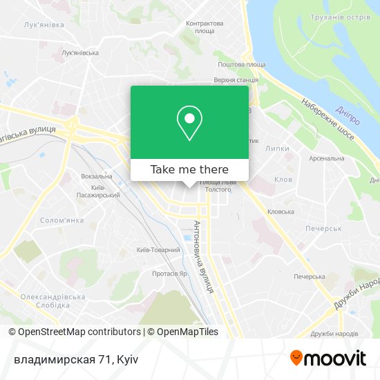 владимирская 71 map