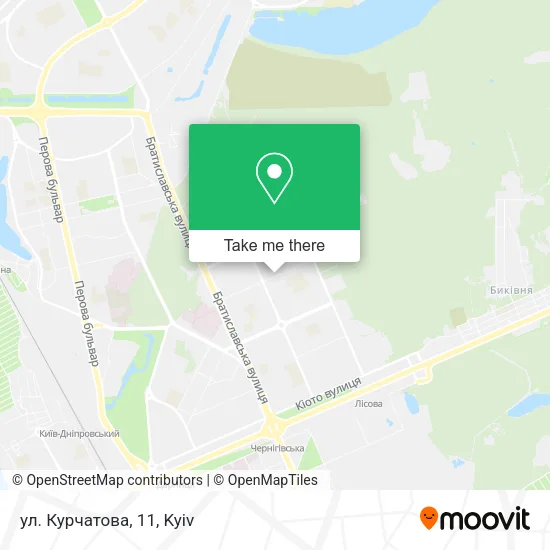 Карта ул. Курчатова, 11