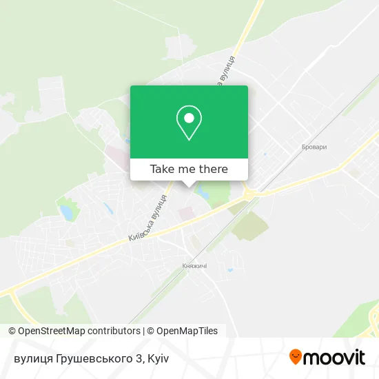 Карта вулиця Грушевського 3