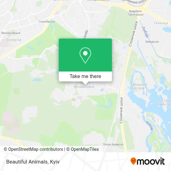 Beautiful Animals map