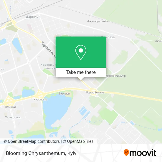 Blooming Chrysanthemum map
