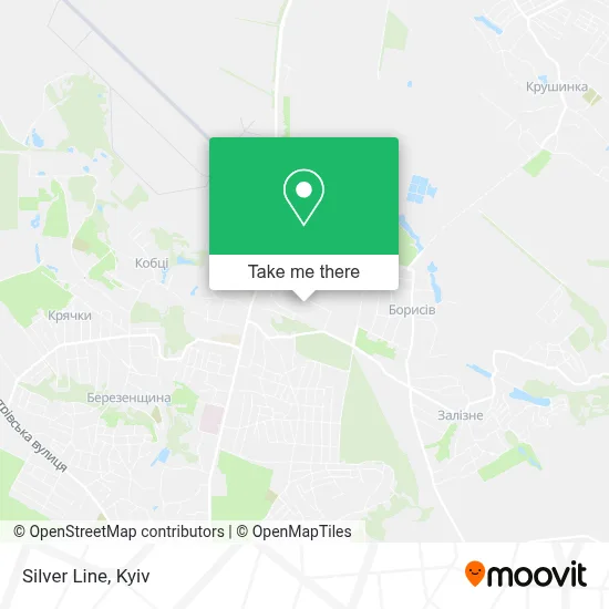 Silver Line map