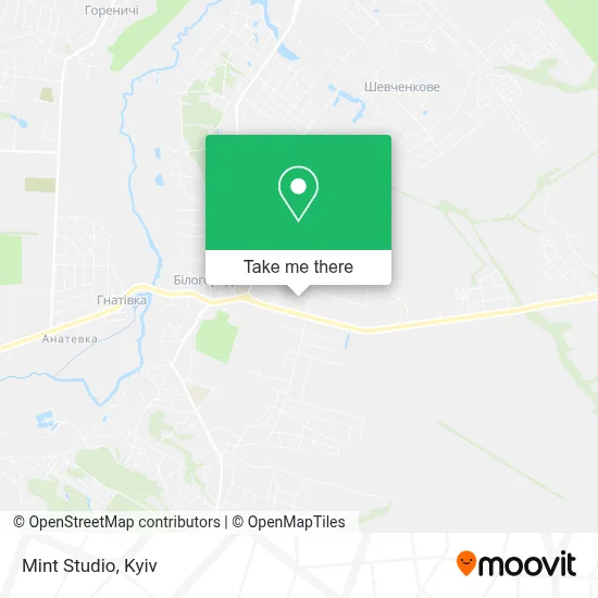 Mint Studio map