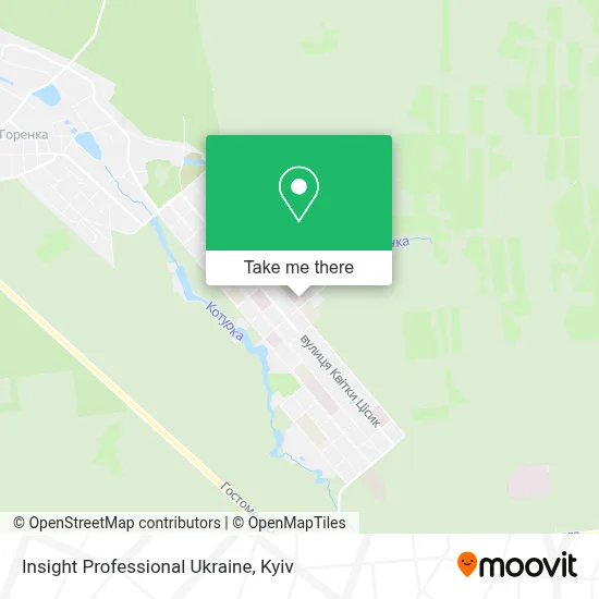 Insight Professional Ukraine map