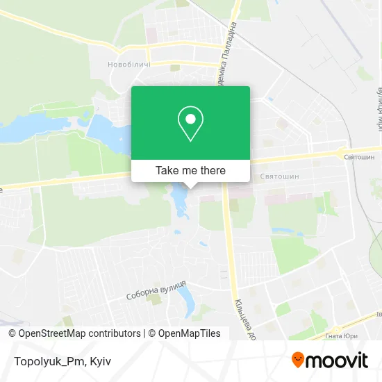 Topolyuk_Pm map