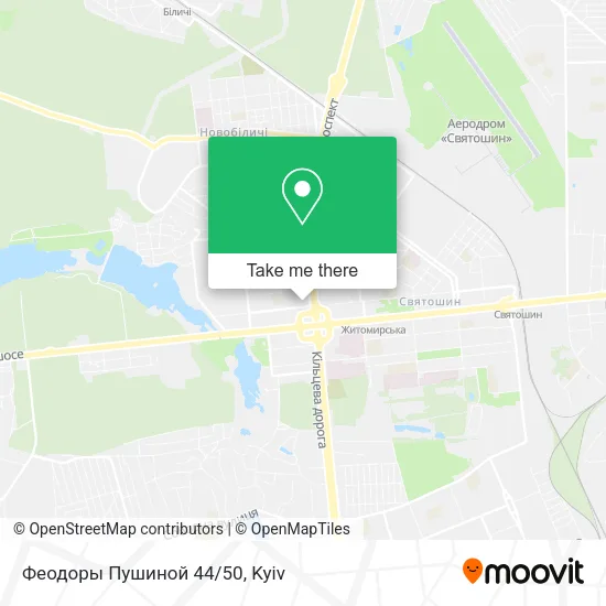 Карта Феодоры Пушиной 44/50