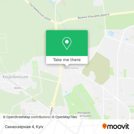 Синеозерная 4 map