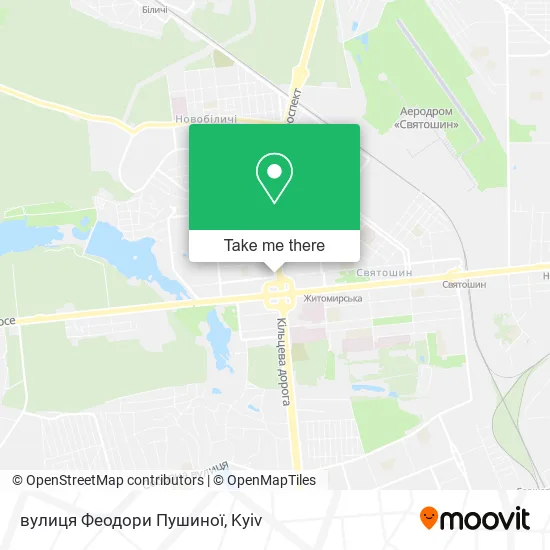 Карта вулиця Феодори Пушиної