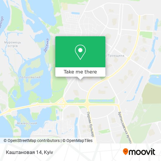 Каштановая 14 map