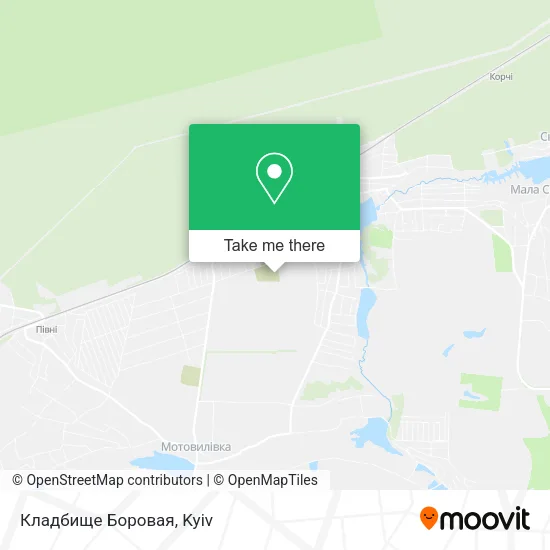 Карта Кладбище Боровая