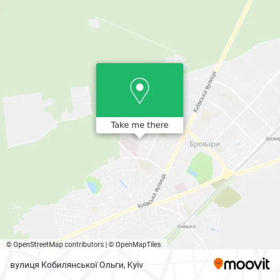 вулиця Кобилянської Ольги map