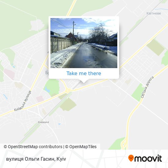 Карта вулиця Ольги Гасин