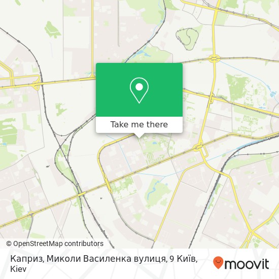 Карта Каприз, Миколи Василенка вулиця, 9 Київ