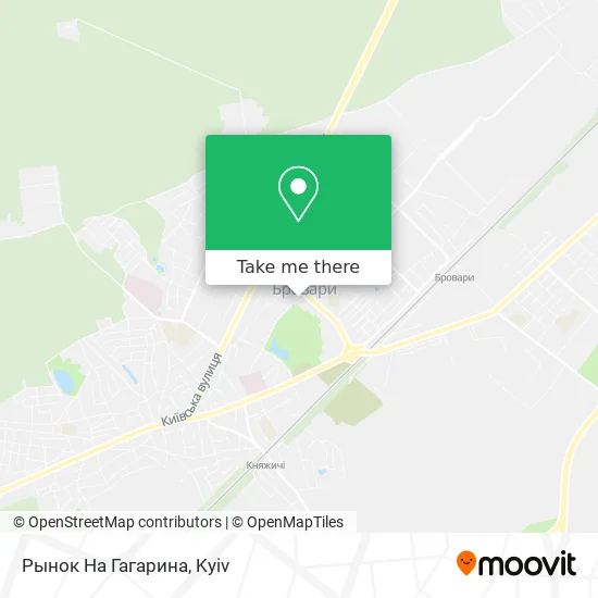 Карта Рынок На Гагарина