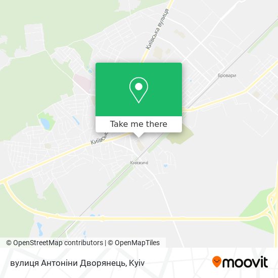 вулиця Антоніни Дворянець map