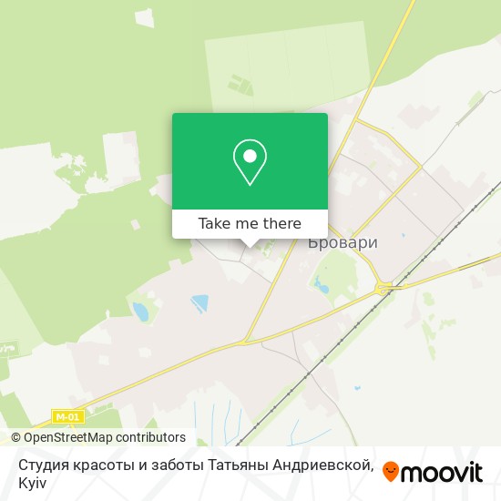 Студия красоты и заботы Татьяны Андриевской map