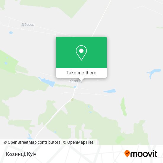 Козинці map
