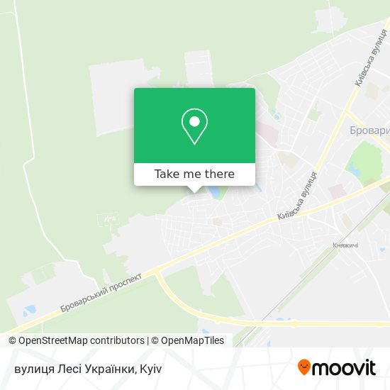 Карта вулиця Лесі Українки