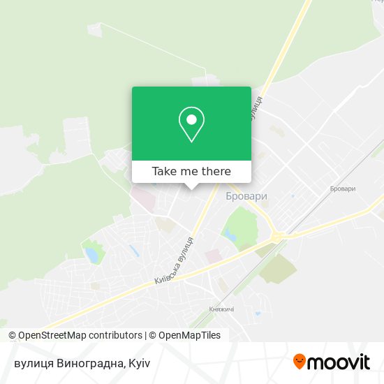 Карта вулиця Виноградна