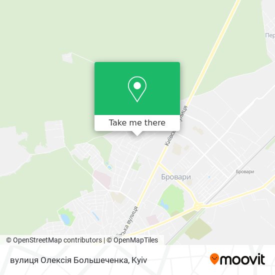 Карта вулиця Олексія Большеченка