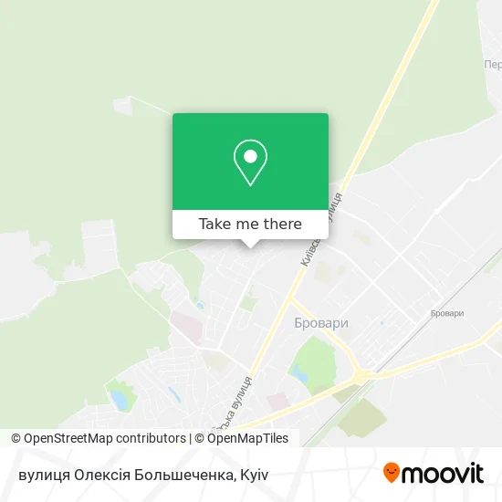 вулиця Олексія Большеченка map