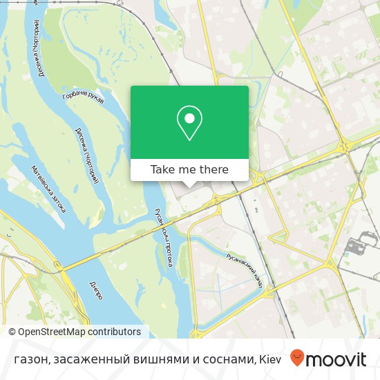 газон, засаженный вишнями и соснами map