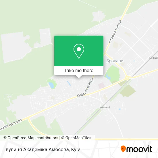 Карта вулиця Академіка Амосова