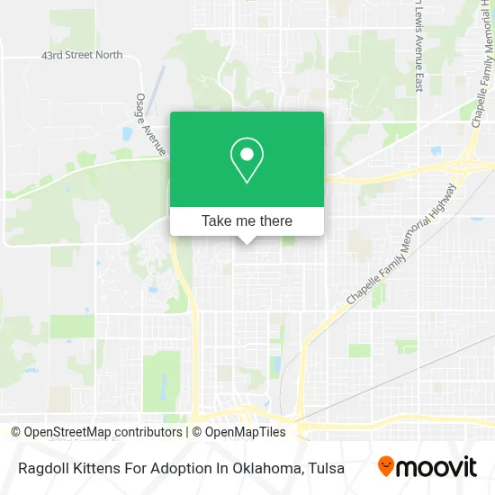Ragdoll Kittens For Adoption In Oklahoma map