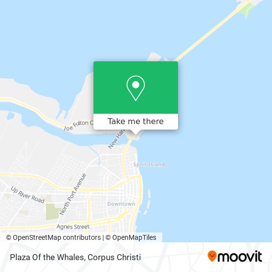 Plaza Of the Whales map