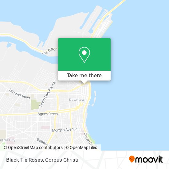 Mapa de Black Tie Roses