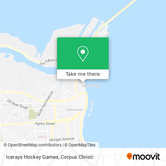 Icerays Hockey Games map
