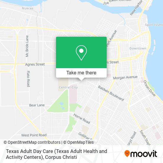 Texas Adult Day Care (Texas Adult Health and Activity Centers) map