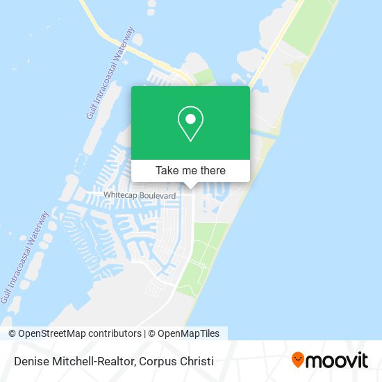 Denise Mitchell-Realtor map