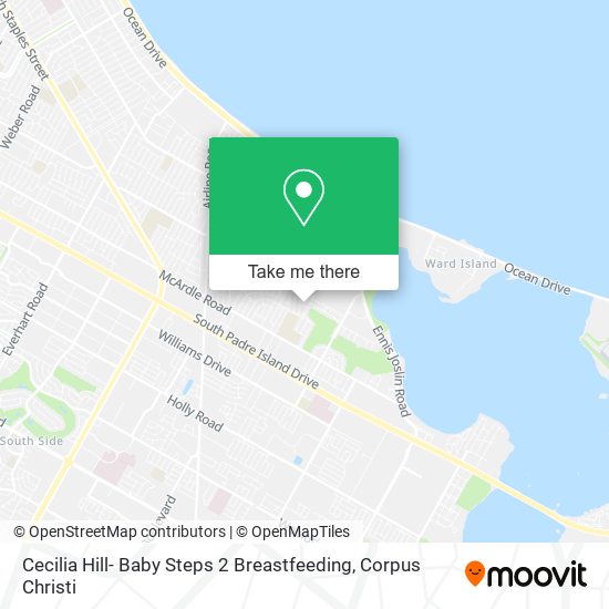 Mapa de Cecilia Hill- Baby Steps 2 Breastfeeding