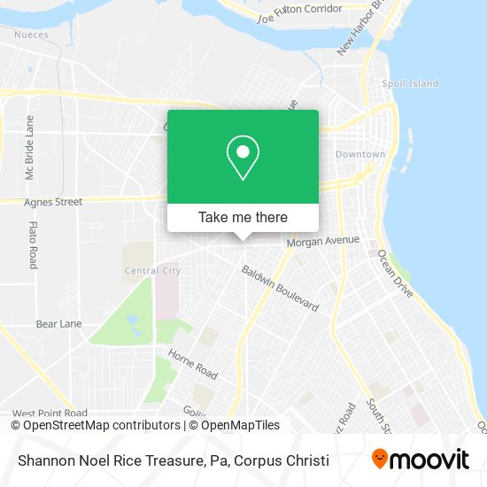 Mapa de Shannon Noel Rice Treasure, Pa