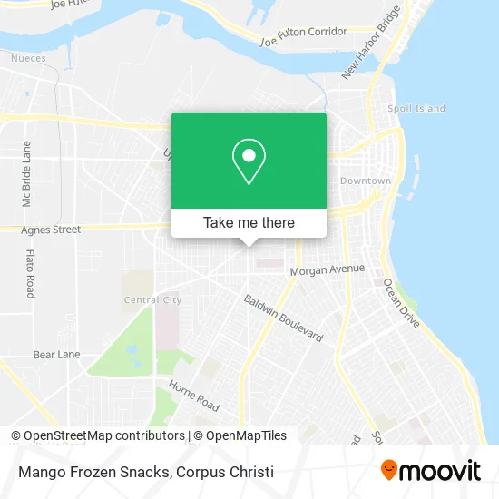 Mango Frozen Snacks map