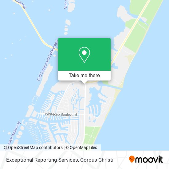 Exceptional Reporting Services map