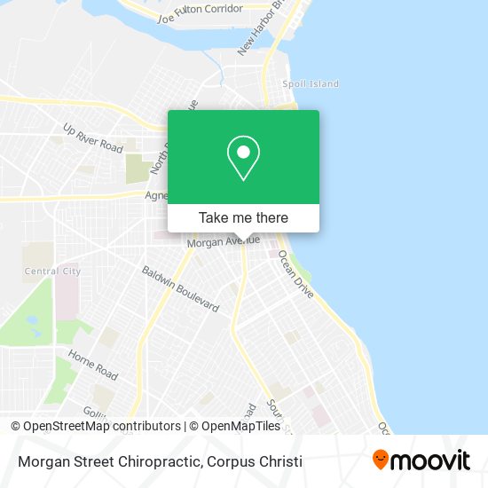 Morgan Street Chiropractic map