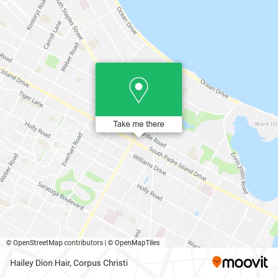 Hailey Dion Hair map