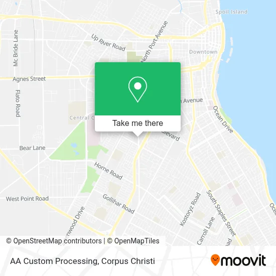 AA Custom Processing map