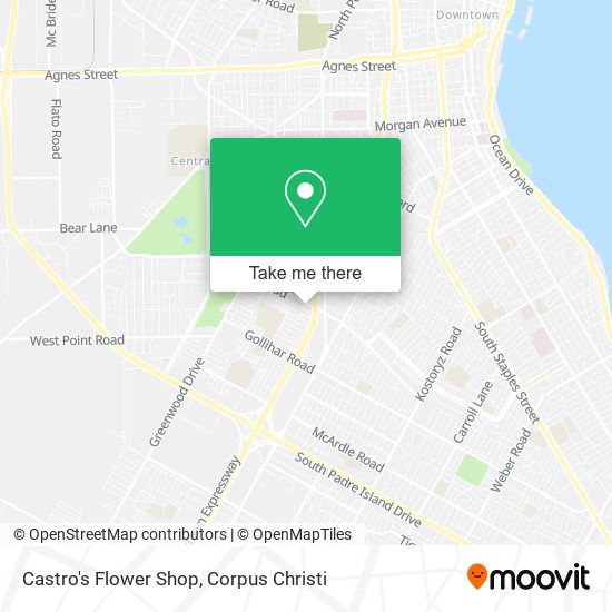 Mapa de Castro's Flower Shop