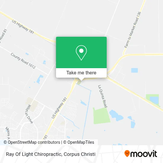 Ray Of Light Chiropractic map