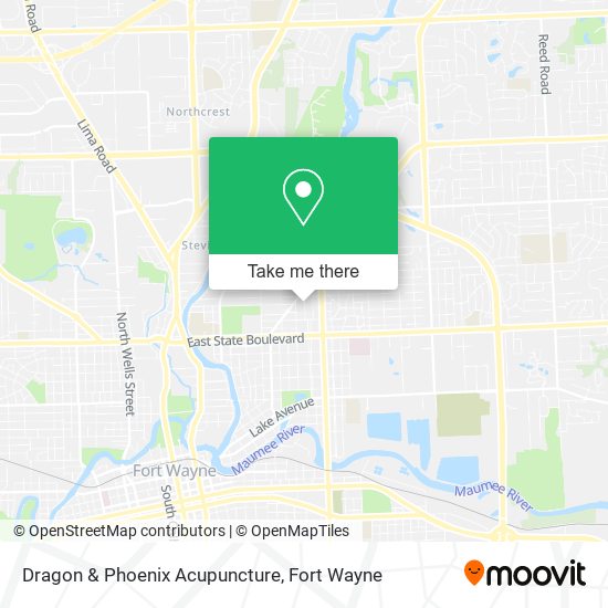 Dragon & Phoenix Acupuncture map