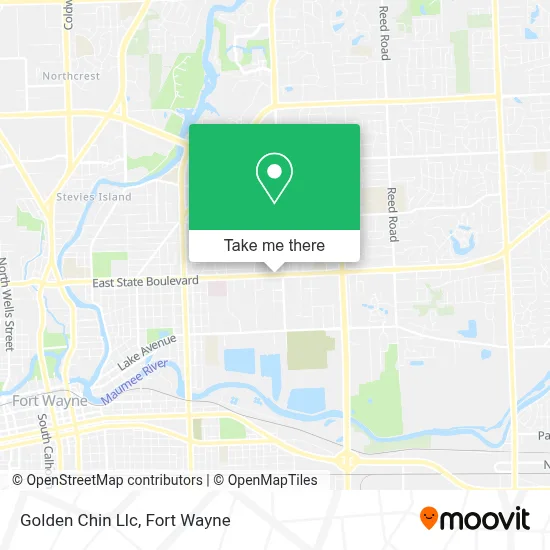 Golden Chin Llc map