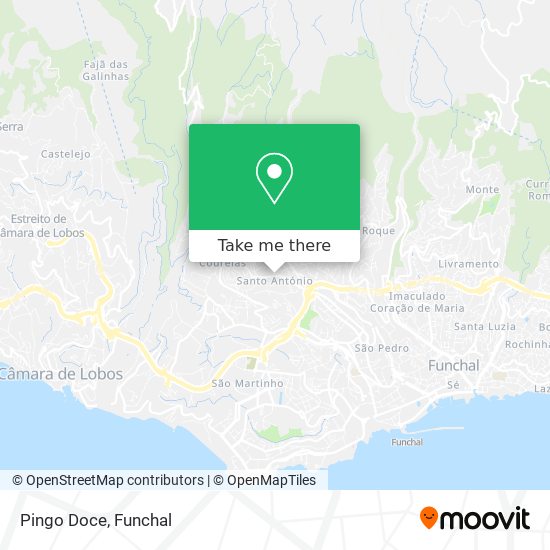 Pingo Doce map