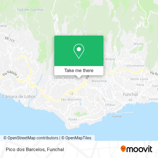 Pico dos Barcelos map